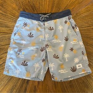 Katin Blue and Brown Tropical Print Board Shorts